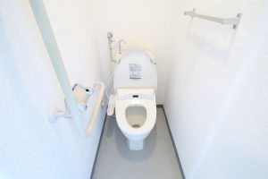 3LDKタイプ：トイレの画像